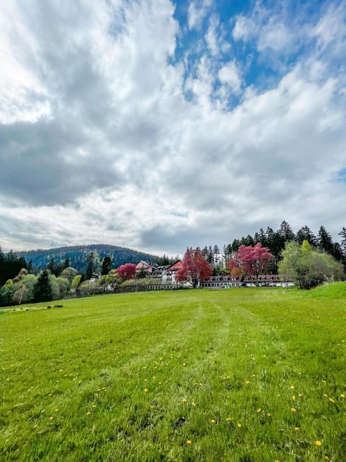 Ferienwohnung Prokop Železná Ruda Exterior foto