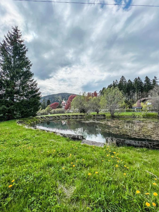 Ferienwohnung Prokop Železná Ruda Exterior foto